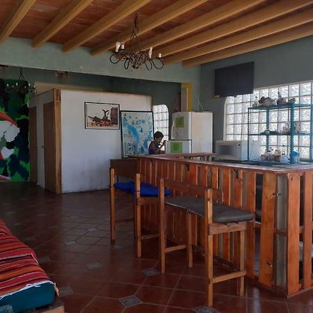 Hostal Enjoy Vallarta 19 巴亞爾塔港 外观 照片