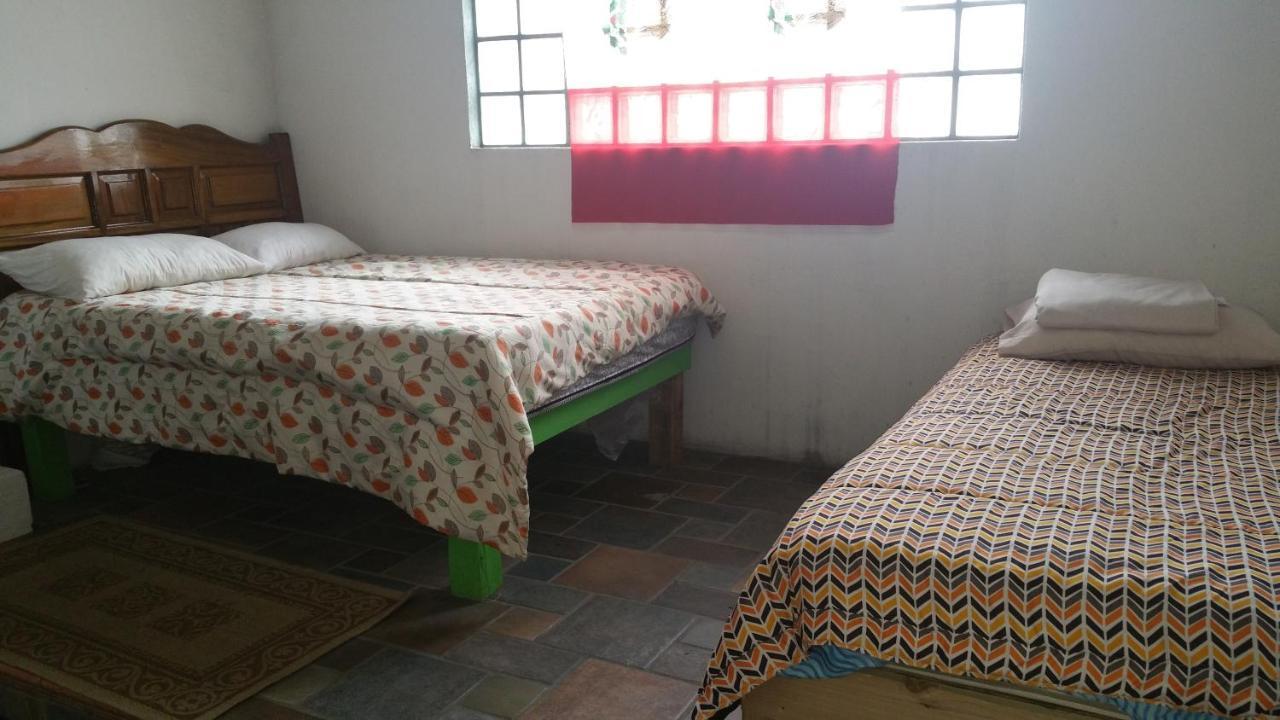 Hostal Enjoy Vallarta 19 巴亞爾塔港 外观 照片