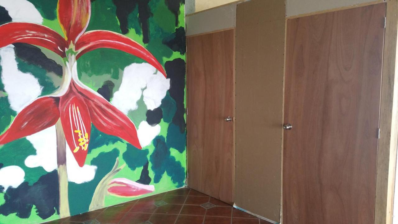 Hostal Enjoy Vallarta 19 巴亞爾塔港 外观 照片