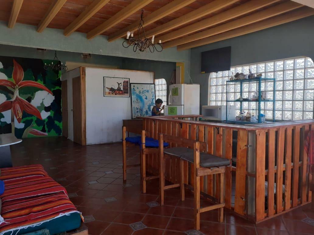 Hostal Enjoy Vallarta 19 巴亞爾塔港 外观 照片